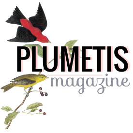 Le Geste de peindre vu sur Plumetis magazine
